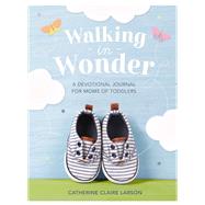Book cover for Walking in Wonder