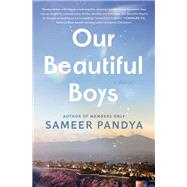 Book cover for Our Beautiful Boys A Novel