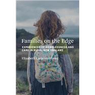 Book cover for Families on the Edge Experiences of Homelessness and Care in Rural New England