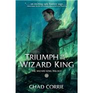Book cover for Triumph of the Wizard King: The Wizard King Trilogy Book Three
