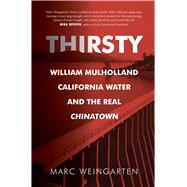 Book cover for Thirsty
