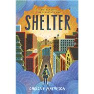 Book cover for Shelter