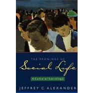 Book cover for The Meanings of Social Life A Cultural Sociology