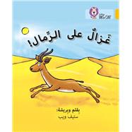 Book cover for Collins Big Cat Arabic – Gazelle on the Sand: Level 9