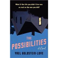 Book cover for The Possibilities A Novel