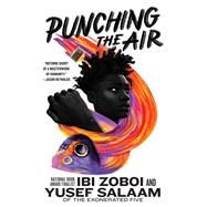 Book cover for Punching the Air
