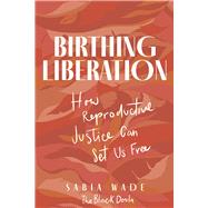 Book cover for Birthing Liberation How Reproductive Justice Can Set Us Free
