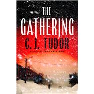 Book cover for The Gathering A Novel