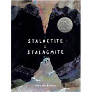 Book cover for Stalactite & Stalagmite A Big Tale from a Little Cave (Caldecott Honor)