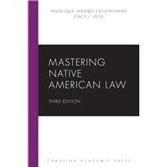 Book cover for Mastering Native American Law, Third Edition