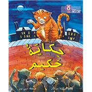 Book cover for Collins Big Cat Arabic – Hakim’s Tale: Level 13
