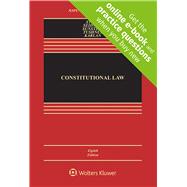 Book cover for Constitutional Law