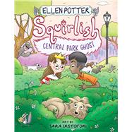 Book cover for Central Park Ghost