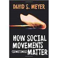 Book cover for How Social Movements (Sometimes) Matter