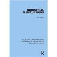 Book cover for Industrial Fluctuations