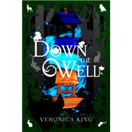 Book cover for Down The Well