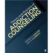 Book cover for Theory and Practice of Addiction Counseling