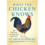 Book cover for What the Chicken Knows A New Appreciation of the World's Most Familiar Bird
