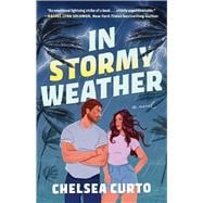 Book cover for In Stormy Weather A Novel