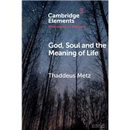 Book cover for God, Soul and the Meaning of Life