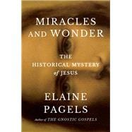 Book cover for Miracles and Wonder The Historical Mystery of Jesus
