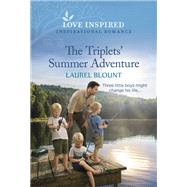 Book cover for The Triplets' Summer Adventure