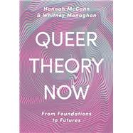 Book cover for Queer Theory Now
