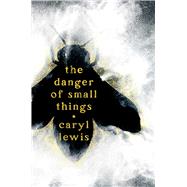 Book cover for The Danger of Small Things