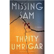 Book cover for Missing Sam A Novel