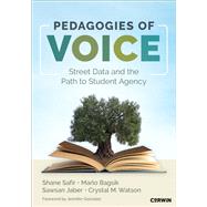 Book cover for Pedagogies of Voice: Street Data and the Path to Student Agency