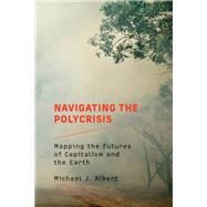 Book cover for Navigating the Polycrisis Mapping the Futures of Capitalism and the Earth