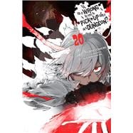 Book cover for Is It Wrong to Try to Pick Up Girls in a Dungeon?, Vol. 20 (light novel)