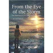 Book cover for From the Eye of the Storm: The Experiences of a Child Welfare Worker