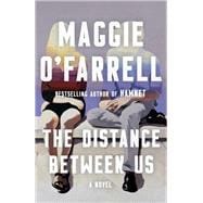 Book cover for The Distance Between Us A Novel