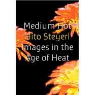 Book cover for Medium Hot Images in The Age of Heat