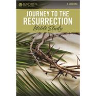 Book cover for Journey to the Resurrection