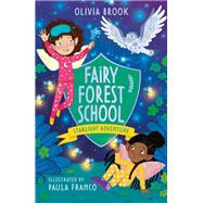 Book cover for Starlight Adventure