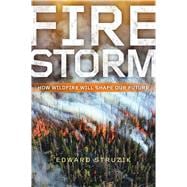 Book cover for Firestorm
