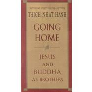 Book cover for Going Home : Jesus and Buddha as Brothers