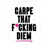 Book cover for Carpe That F*cking Diem Quotes and Mottos for Making the Most of Life