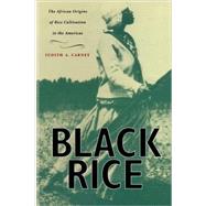 Book cover for Black Rice