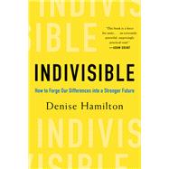 Book cover for Indivisible How to Forge Our Differences into a Stronger Future