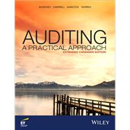 Book cover for Auditing: A Practical Approach