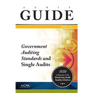 Book cover for Audit Guide