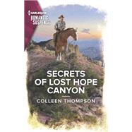 Book cover for Secrets of Lost Hope Canyon