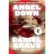 Book cover for Angel Down A Novel