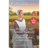 Book cover for Healing an Amish Family