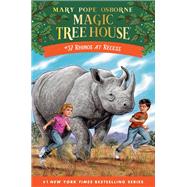 Book cover for Rhinos at Recess