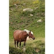 Book cover for Comtois Horse Journal