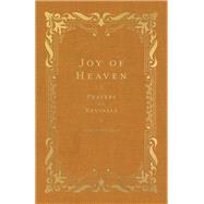 Book cover for Joy of Heaven